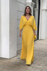 Eloise | Flowing Pleated Maxi Dress